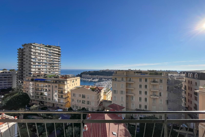 Vente appartement Monaco  