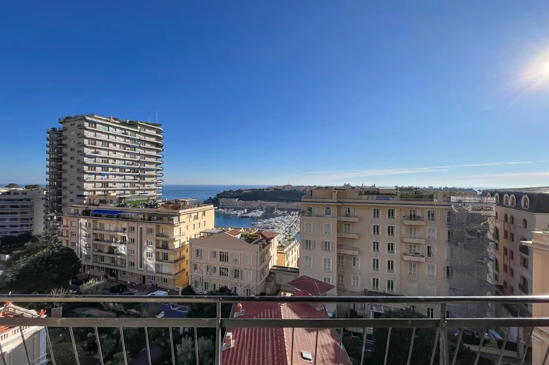 Vente appartement Monaco  