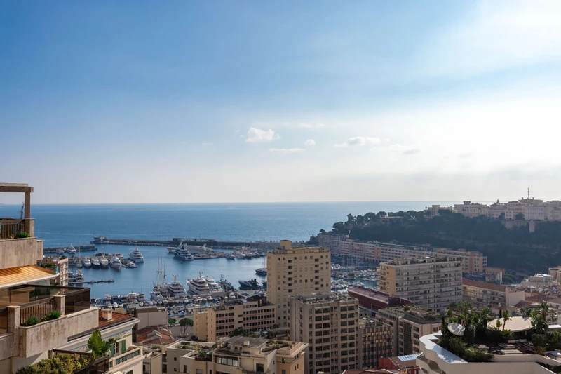 Vente appartement Monaco  