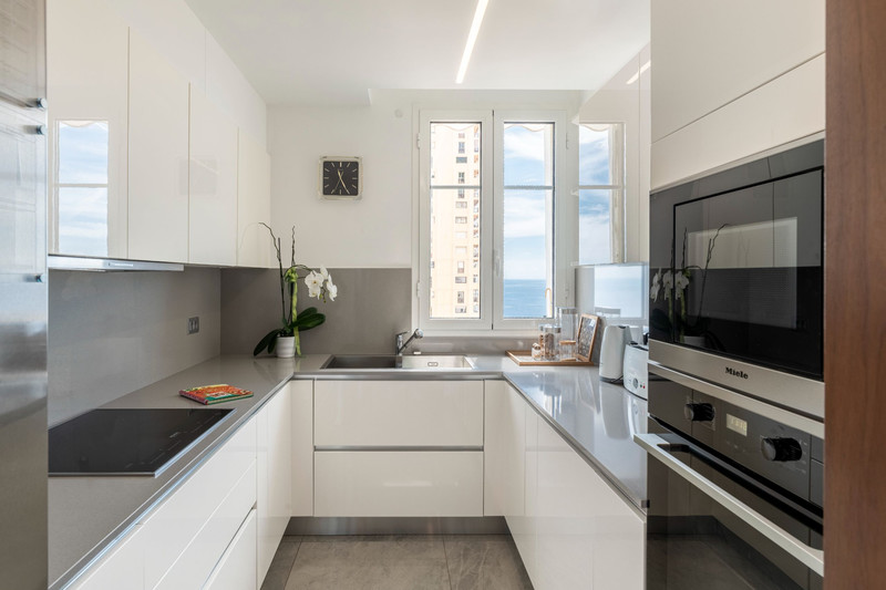 Vente appartement Monaco  