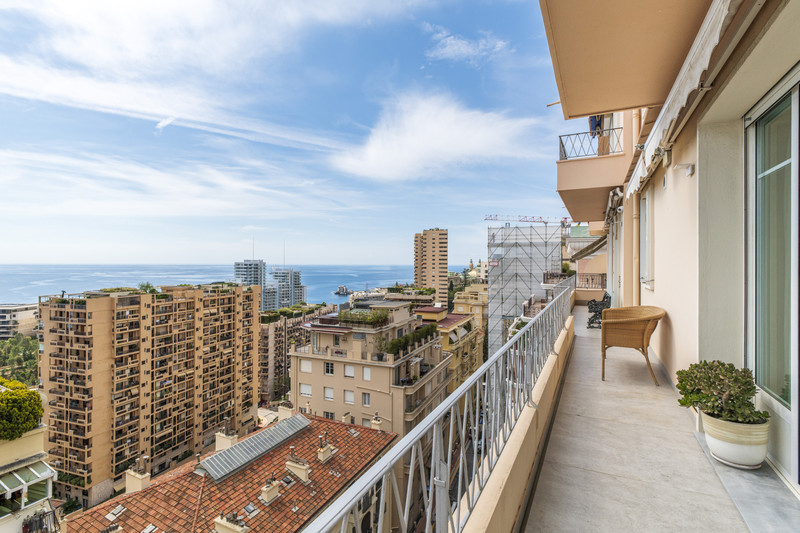 Vente appartement Monaco  