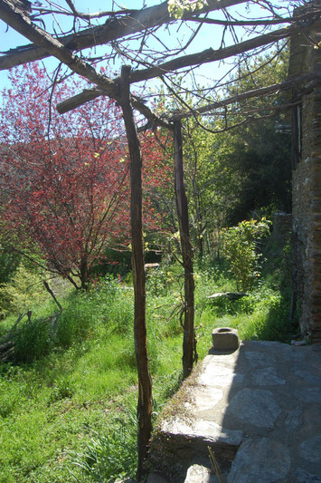 Vente mas Le Collet-de-Dèze  