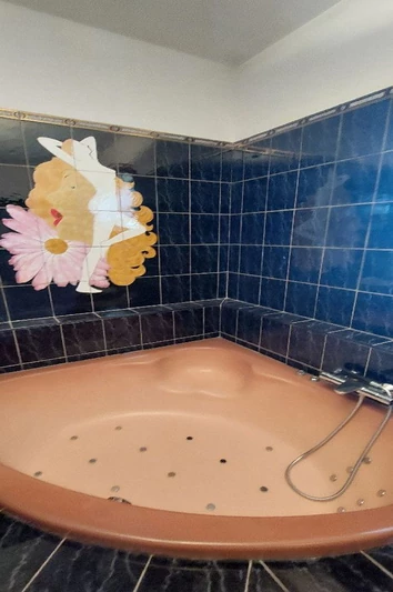 Vente maison Boisset-et-Gaujac  