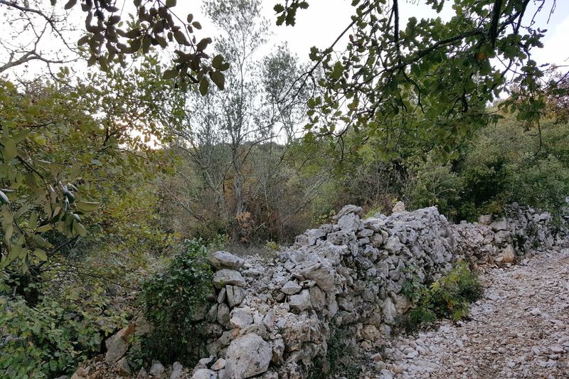 Photo Terrain Cazilhac achat terrain 75805 m²