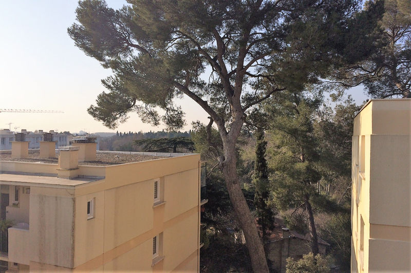 Photo Appartement Castelnau-le-Lez achat appartement 3 pièces 62 m²