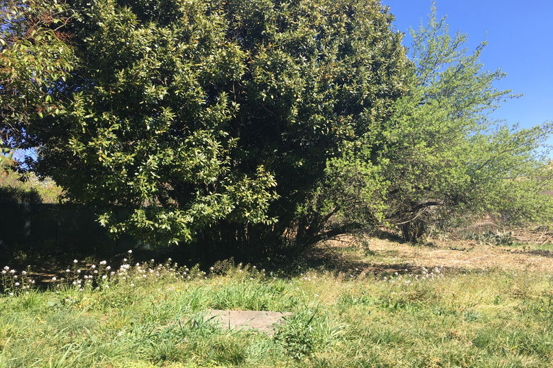 Photo Terrain Castelnau achat terrain 1000 m²