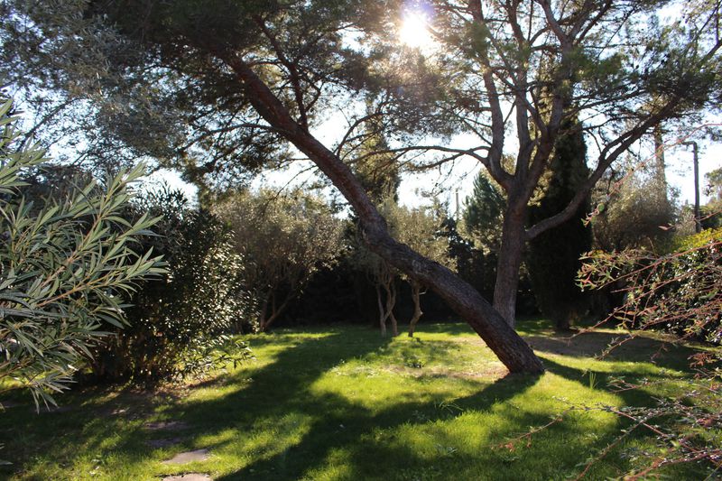 Photo Villa Montpellier Montpellier plan des 4 seigneurs, achat villa 6 chambres 380 m²