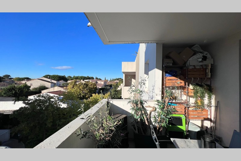 Photo Appartement Castelnau-le-Lez Aube rouge, Location appartement 2 pièces 40 m²