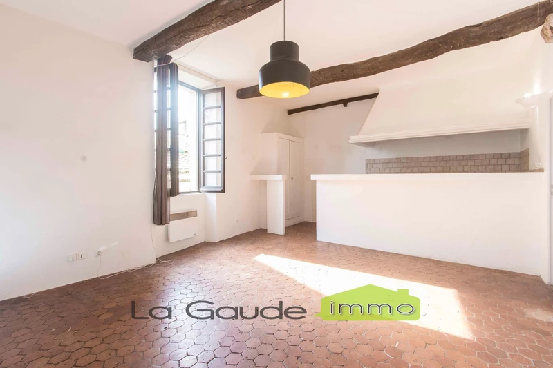 Appartement Saint-Paul-de-Vence   achat appartement  3 pièces   50&nbsp;m&sup2;