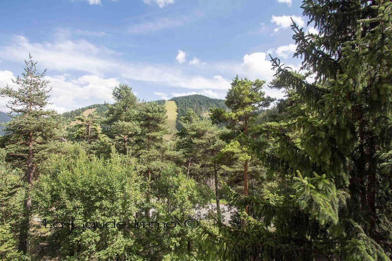Vente appartement Valdeblore  