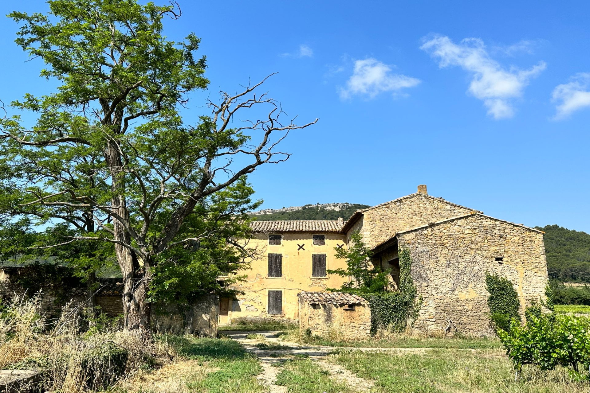 Provençal Farmhouse For Sale, Laudun-l'Ardoise, 30290, FRANCE