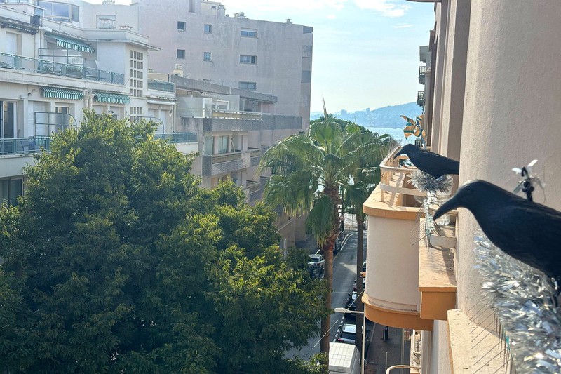 Vente appartement Juan-les-Pins  
