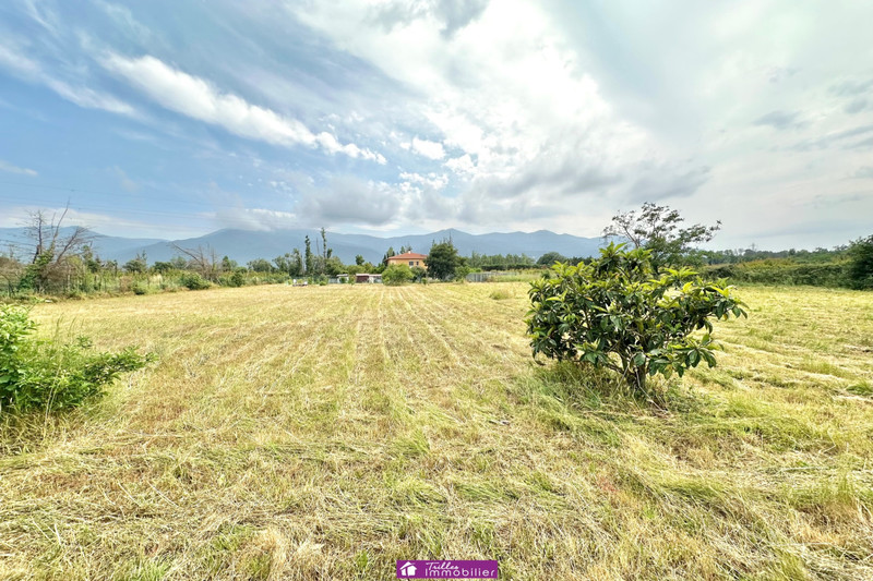 Vente maison Laroque-des-Albères  