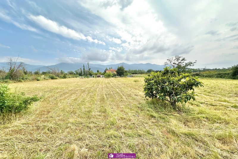 Vente maison Laroque-des-Albères  