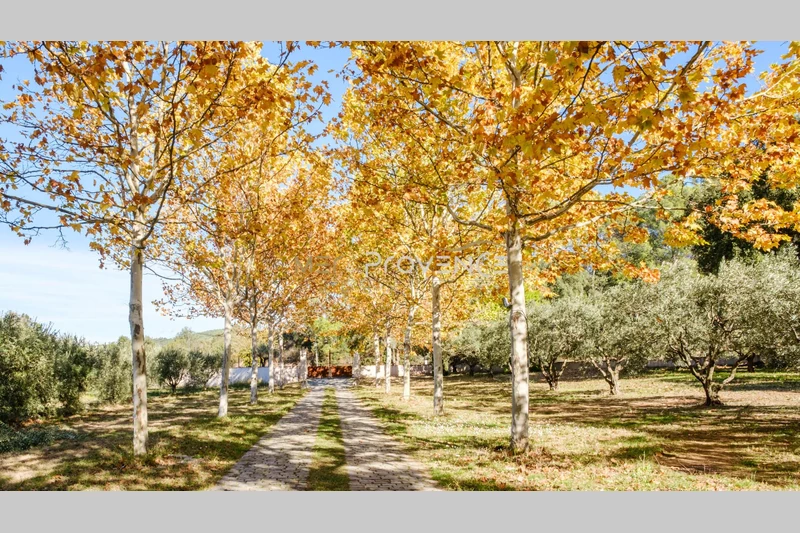 Vente villa provençale Les Arcs  