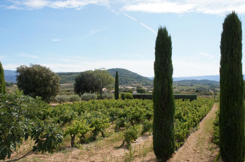 Photos LUBERON Vente maison avec vue