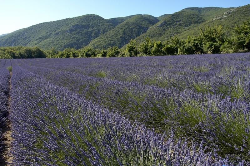 Photos Sault - Luberon