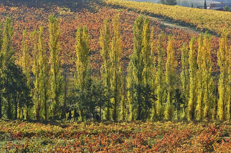 Photos aux portes de l'hiver l'automne en Luberon c'est encore une belle saison 