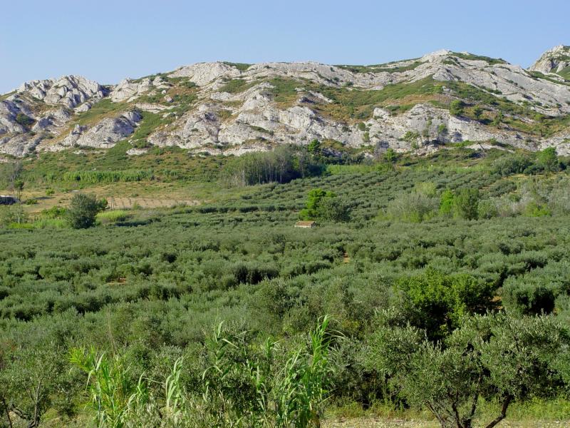Photos LES ALPILLES : POURQUOI PAS VOTRE FUTURE MAISON ! ... UN LIEU MAGIQUE ...