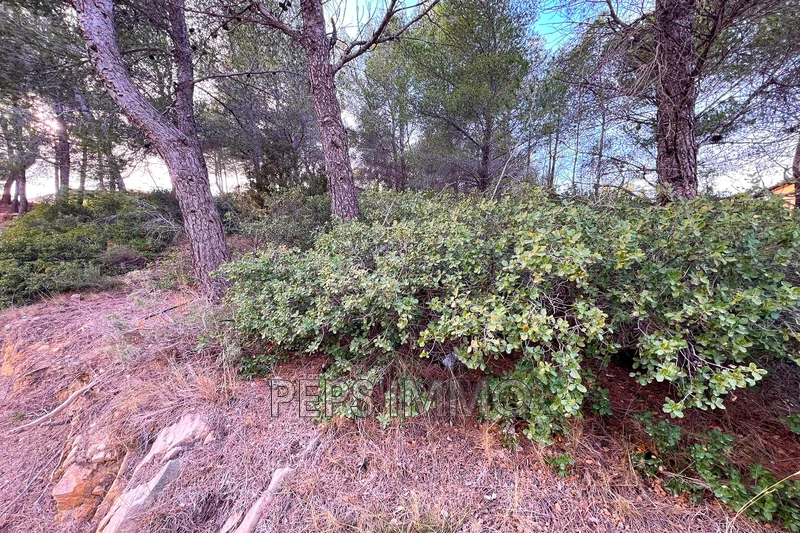 Vente terrain Ensuès-la-Redonne  