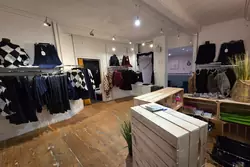 Professionnel  Bergues  