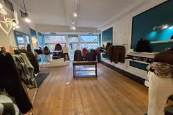 Professionnel  Bergues  