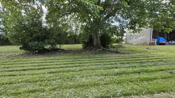 Vente maison Aigrefeuille-d'Aunis  