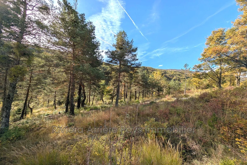 Vente terrain Val-de-Chalvagne Vente terrain Val-de-Chalvagne