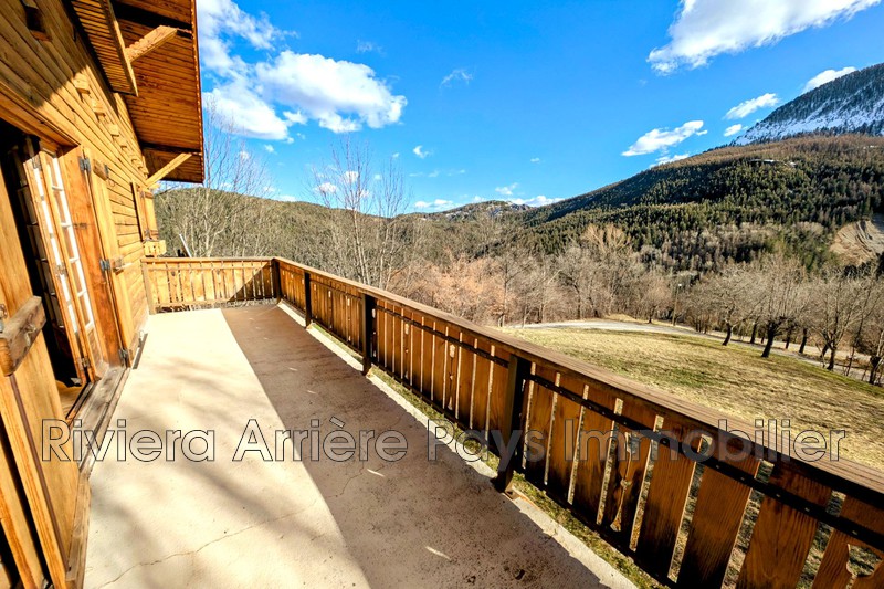 Vente chalet Villeneuve-d'Entraunes  