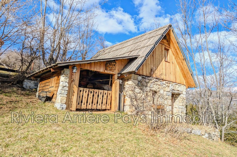 Vente chalet Villeneuve-d'Entraunes  