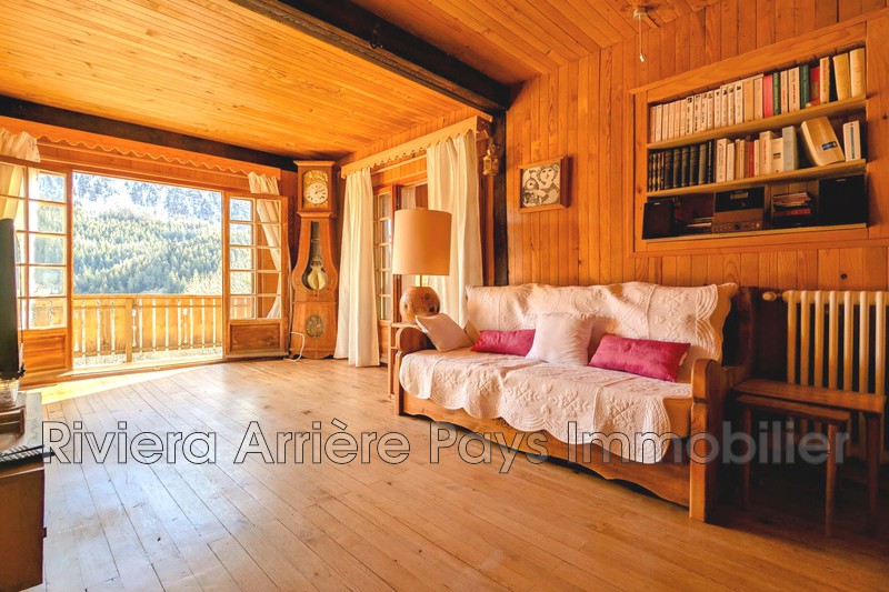 Vente chalet Villeneuve-d'Entraunes  