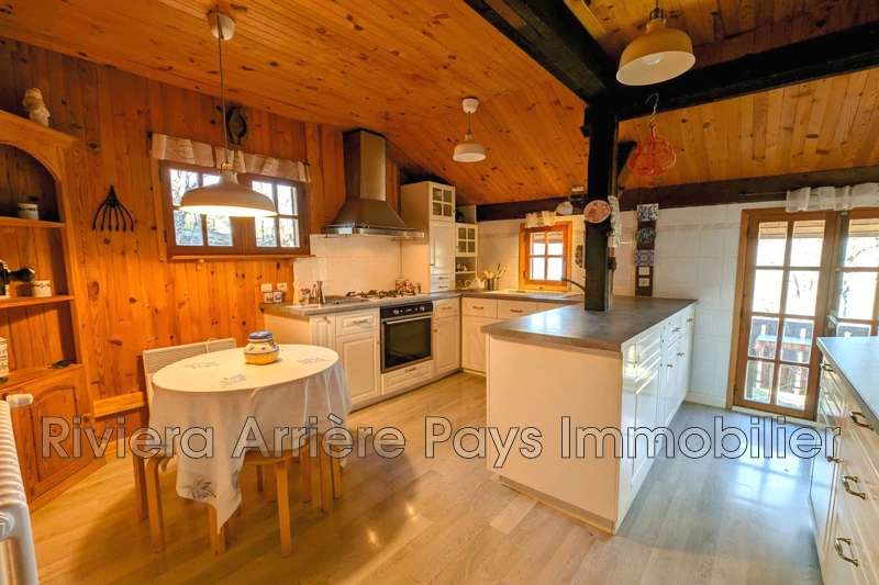 Vente chalet Villeneuve-d'Entraunes  