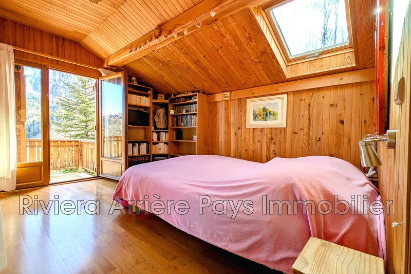 Vente chalet Villeneuve-d'Entraunes  