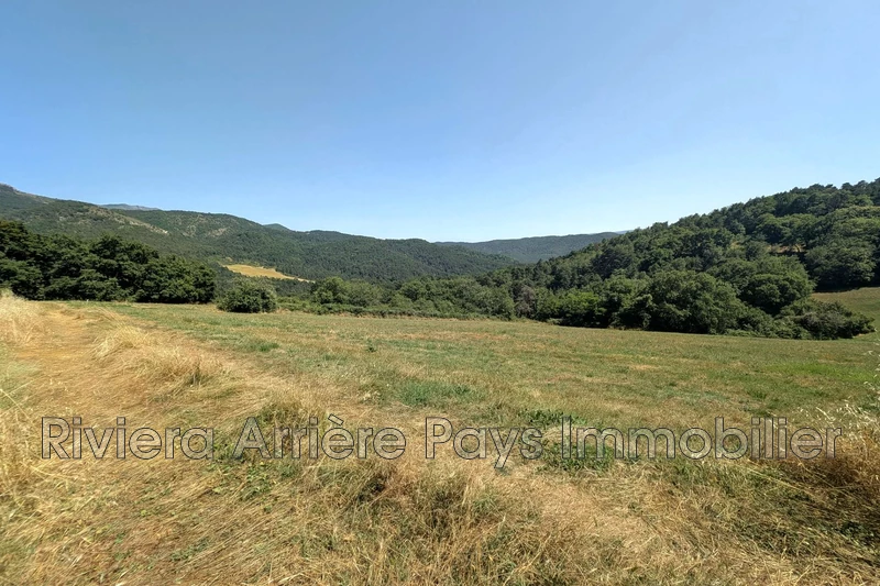 Vente maison Saint-Antonin  