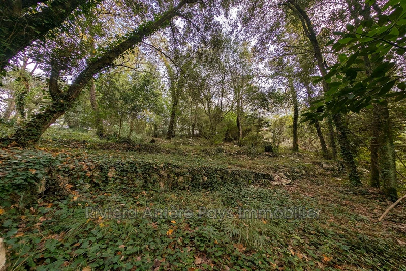 Vente maison Vence Vente maison Vence