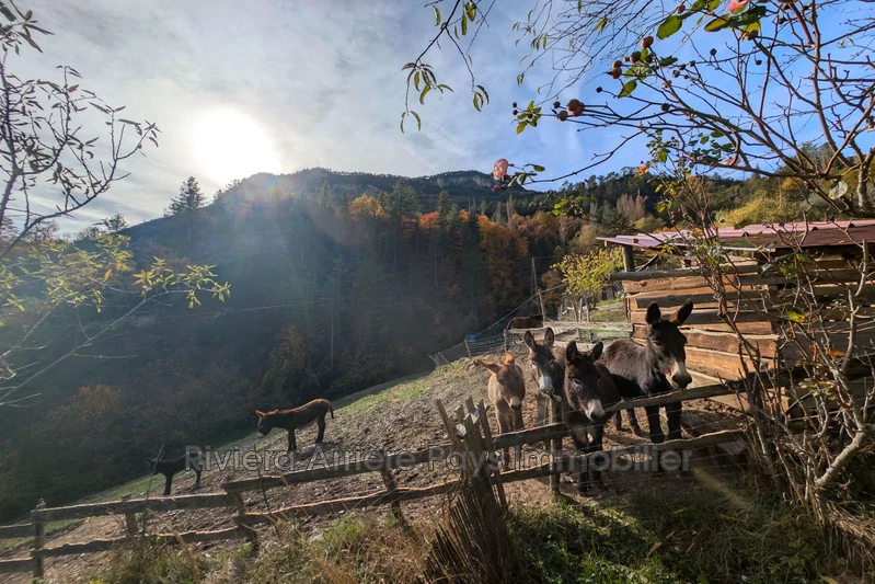 Vente maison Rigaud Vente maison Rigaud