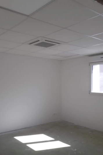 Professionnel locaux Metz  