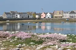 Vente maison Ile de Sein  