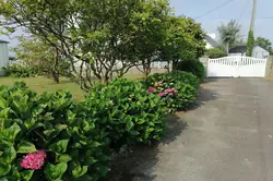 Vente maison Plogoff  