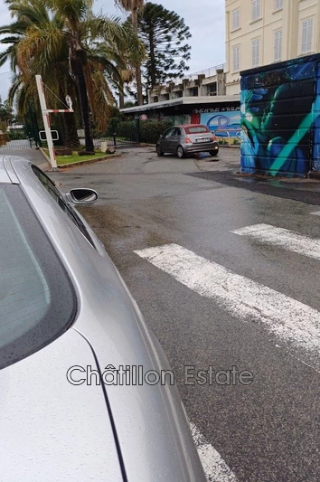 Professionnel  Cannes  