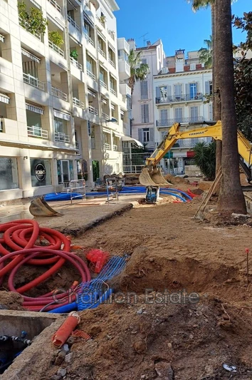 Professionnel  Cannes  