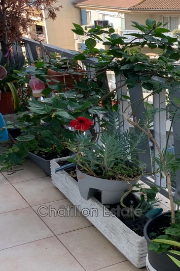 Vente appartement Cannes  