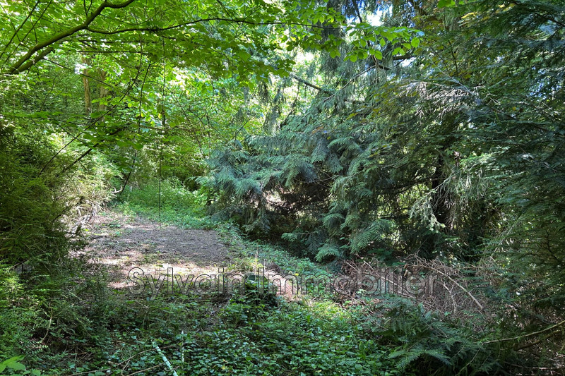 Vente maison Songeons  