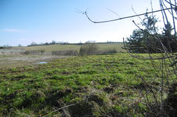 Photos Terrain à bâtir à vendre Hannaches 60650