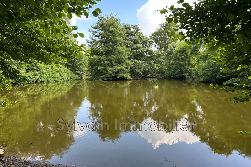 Vente maison Forges-les-Eaux  