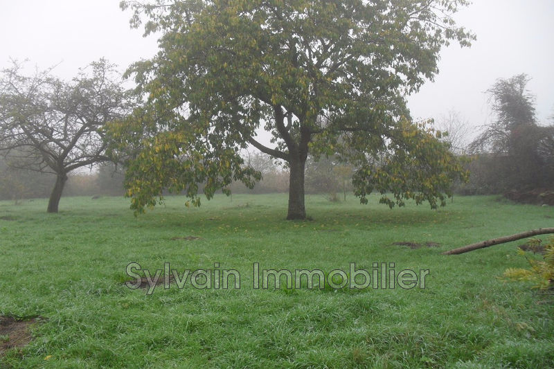 Photo Terrain Savignies Savignies, achat terrain 810 m²
