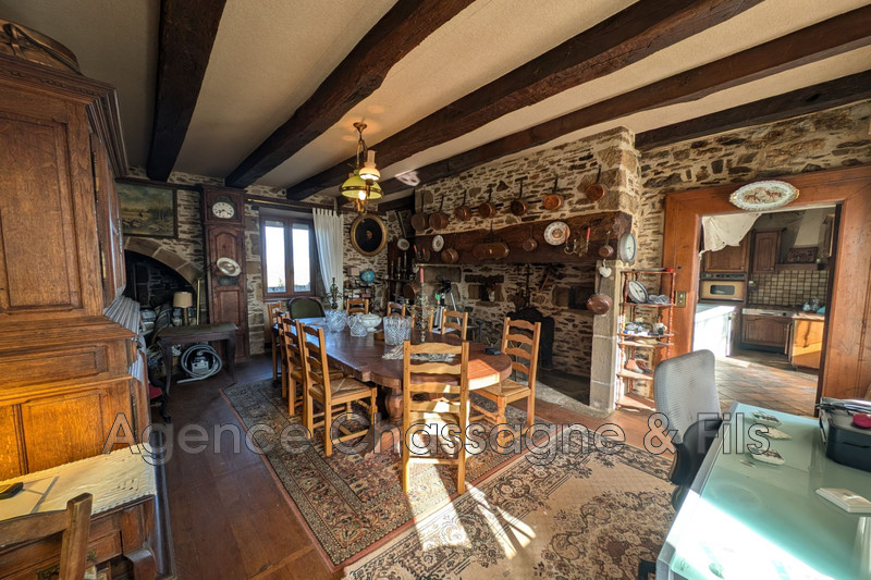 Vente manoir Albignac  