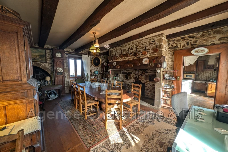 Vente manoir Albignac  