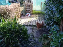 Vente maison Coutances  