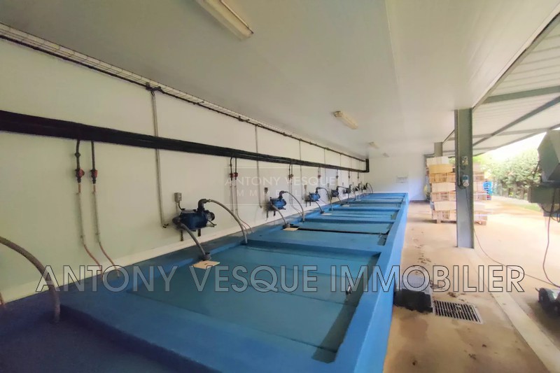 Vente maison Montmartin-sur-mer  